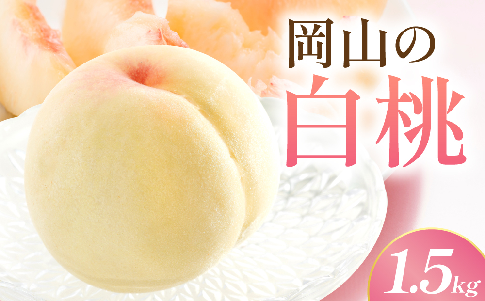 【先行予約】岡山の白桃・晩生　1.5kg箱　9月上旬から順次発送予定
