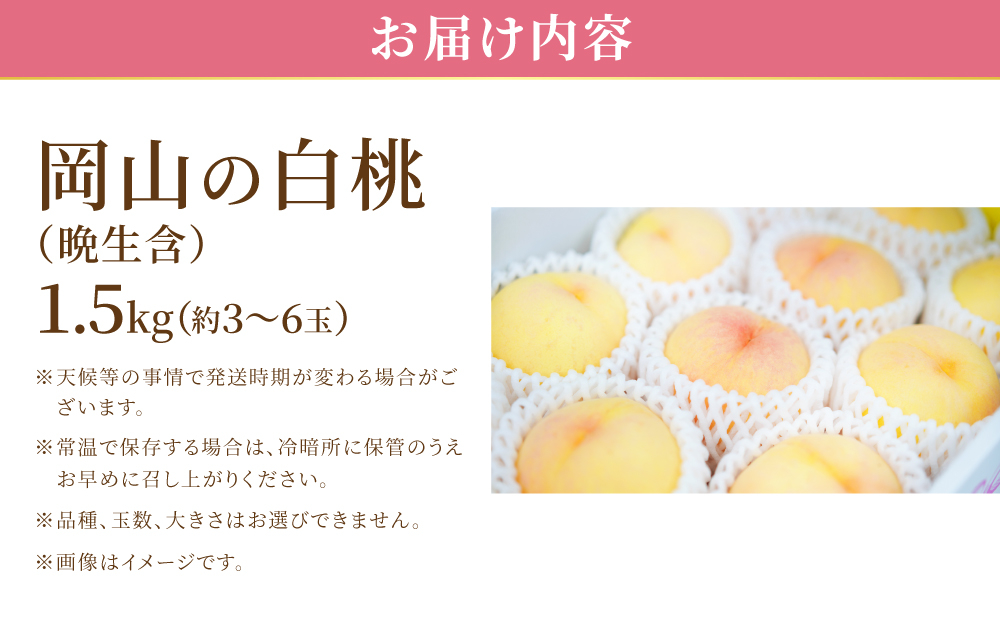 【先行予約】岡山の白桃・晩生　1.5kg箱　9月上旬から順次発送予定
