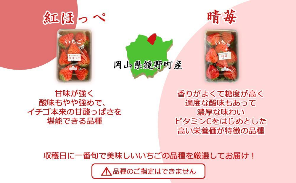 é¡éçºç£ ææ¡ãïŒæ¬ã®å®çãã¡ã 300gÃ2ããã¯ïŒ2026幎1æïœ3æçºéïŒã038-a003ã