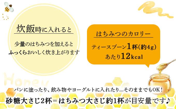 山田養蜂場　里山の百花蜂蜜300g（プラ容器入）×1本 （3643）【006-a064】【山田養蜂場】