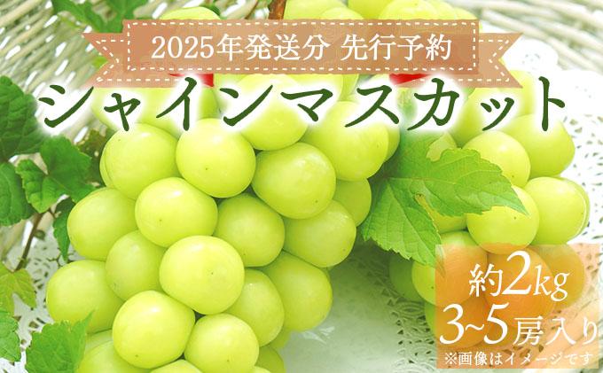 ＜2025年発送分 先行予約＞梅村ファーム 朝摘み直送 シャインマスカット（3房〜5房 約2kg）【030-a006】