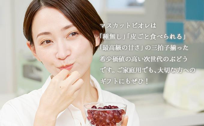 ＜2026年発送分 先行予約＞10月～11月発送お土産マスカットビオレ2kg箱【029-a010】