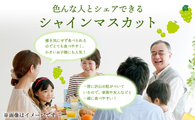 ＜2026年発送分 先行予約＞9月～10月発送お土産シャインマスカット1kg箱【029-a011】