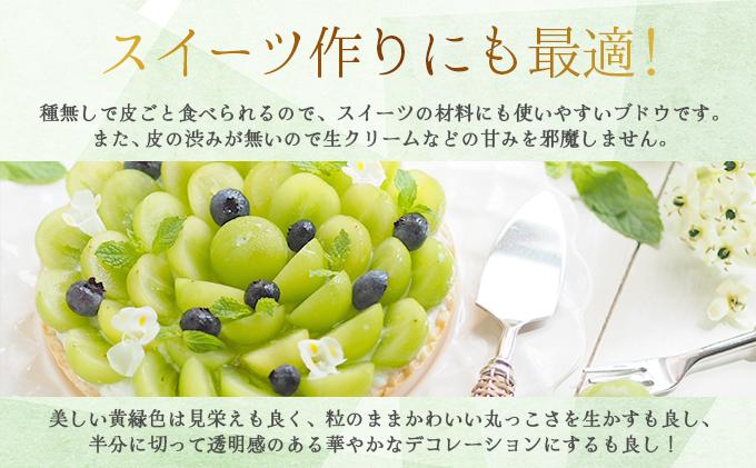 ＜2026年発送分 先行予約＞9月～10月発送お土産シャインマスカット1kg箱【029-a011】