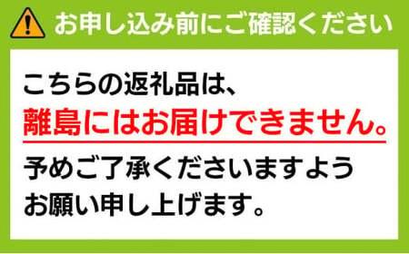 ＜2026年発送分 先行予約＞9月～10月発送お土産シャインマスカット1kg箱【029-a011】