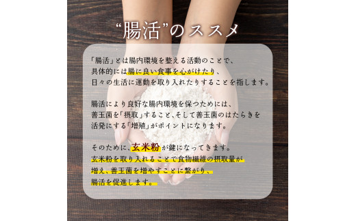 玄米粉パンケーキミックス200g×5袋（奥津かがみちゃんななほしやオリジナルグッズ付き）【009-a010】