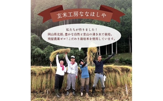 玄米粉パンケーキミックス200g×5袋（奥津かがみちゃんななほしやオリジナルグッズ付き）【009-a010】