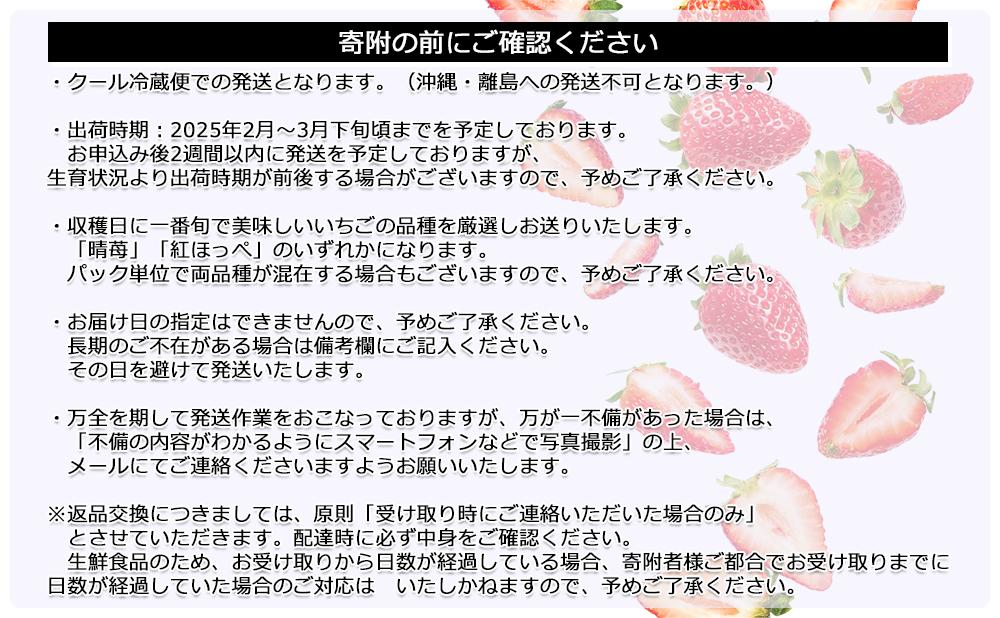 鏡野町産 朝採れ！旬の完熟いちご 300ｇ×2パック【038-a001】