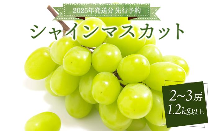 [2025年発送分 先行予約]シャインマスカット 1.2kg以上(2〜3房)[025-a010]