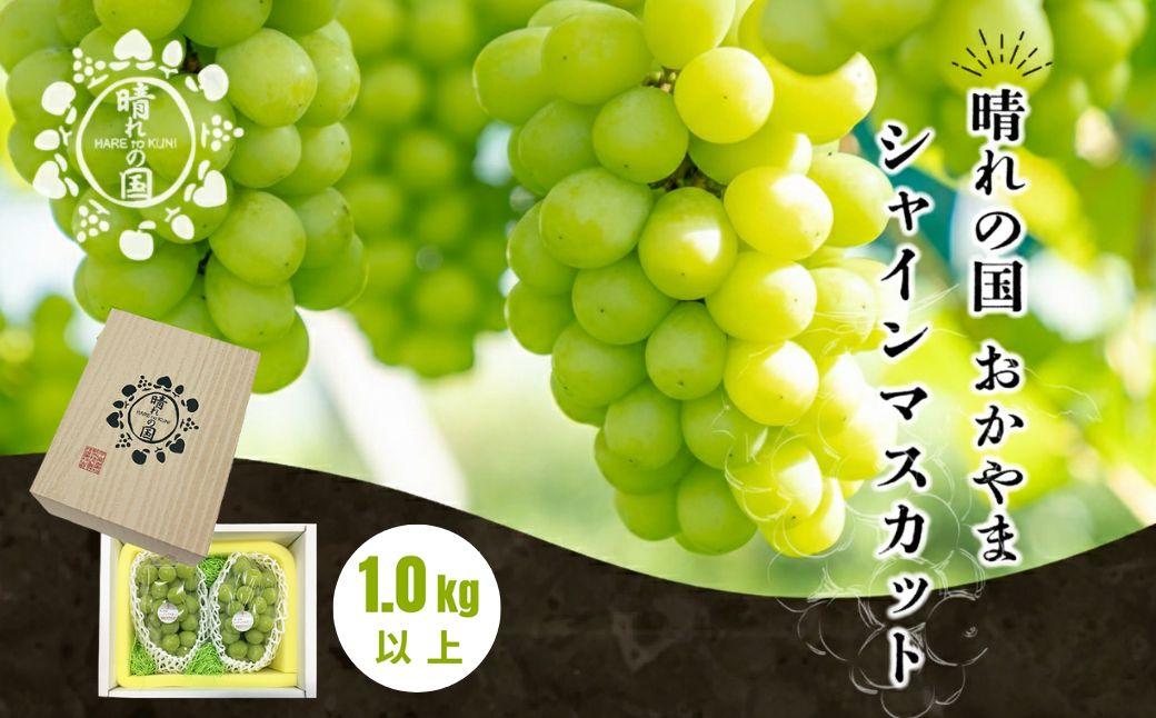【先行予約 秋季 2026年9月上旬発送～】岡山県産シャインマスカット1.0kg（2～3房）【021-a019】