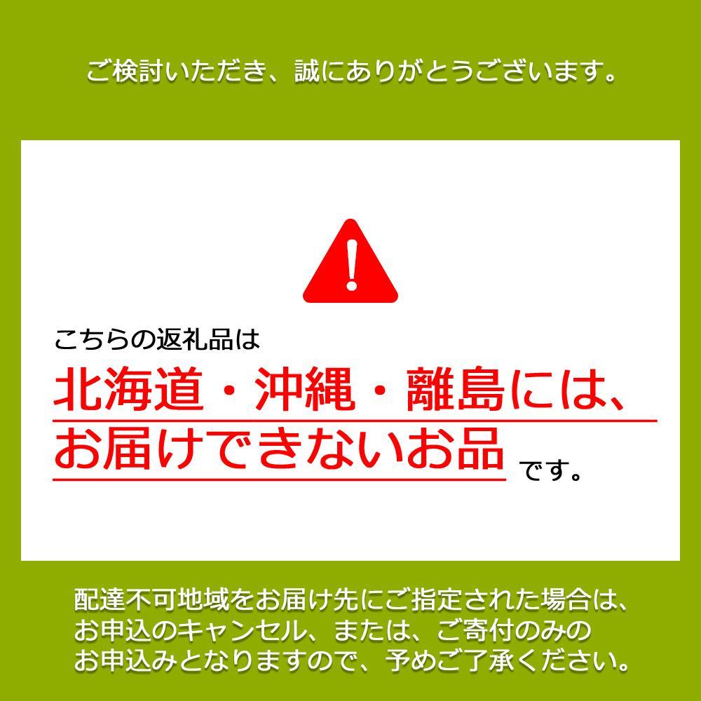 【先行予約　2025年9月上旬発送〜】岡山県産シャインマスカット 2.0kg（3〜4房）