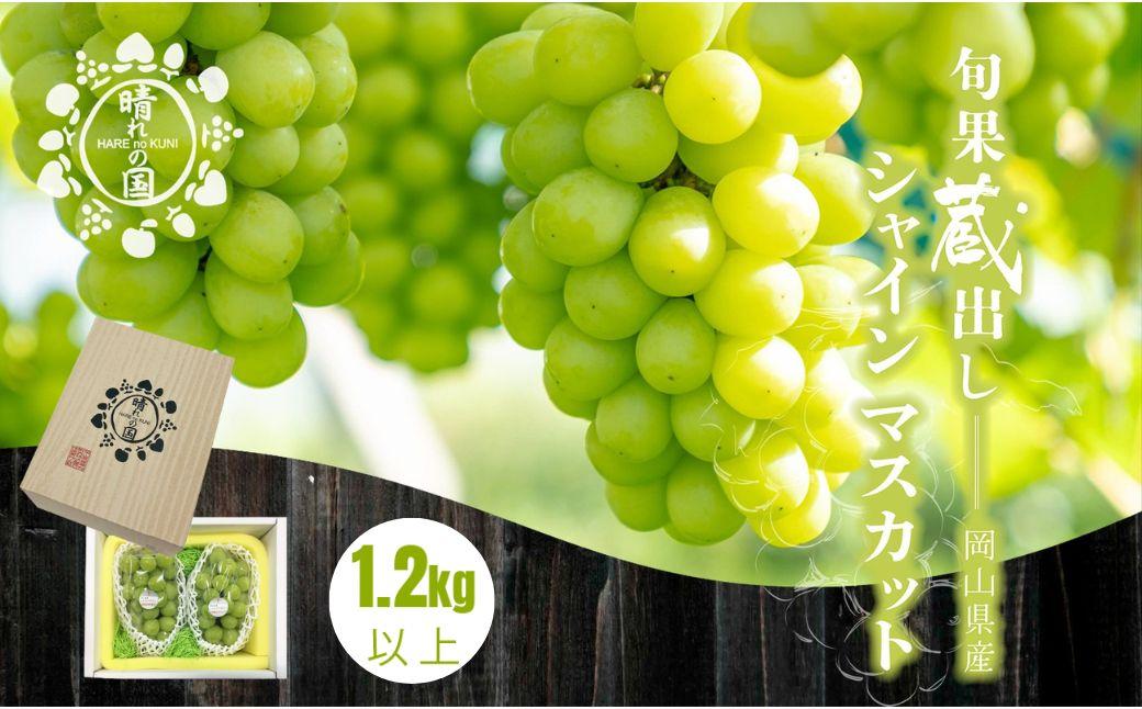 【先行予約 冬季 2026年12月上旬～2027年1月発送】旬果蔵出し 岡山県産シャインマスカット 1.2kg以上（2～3房）【021-a022】