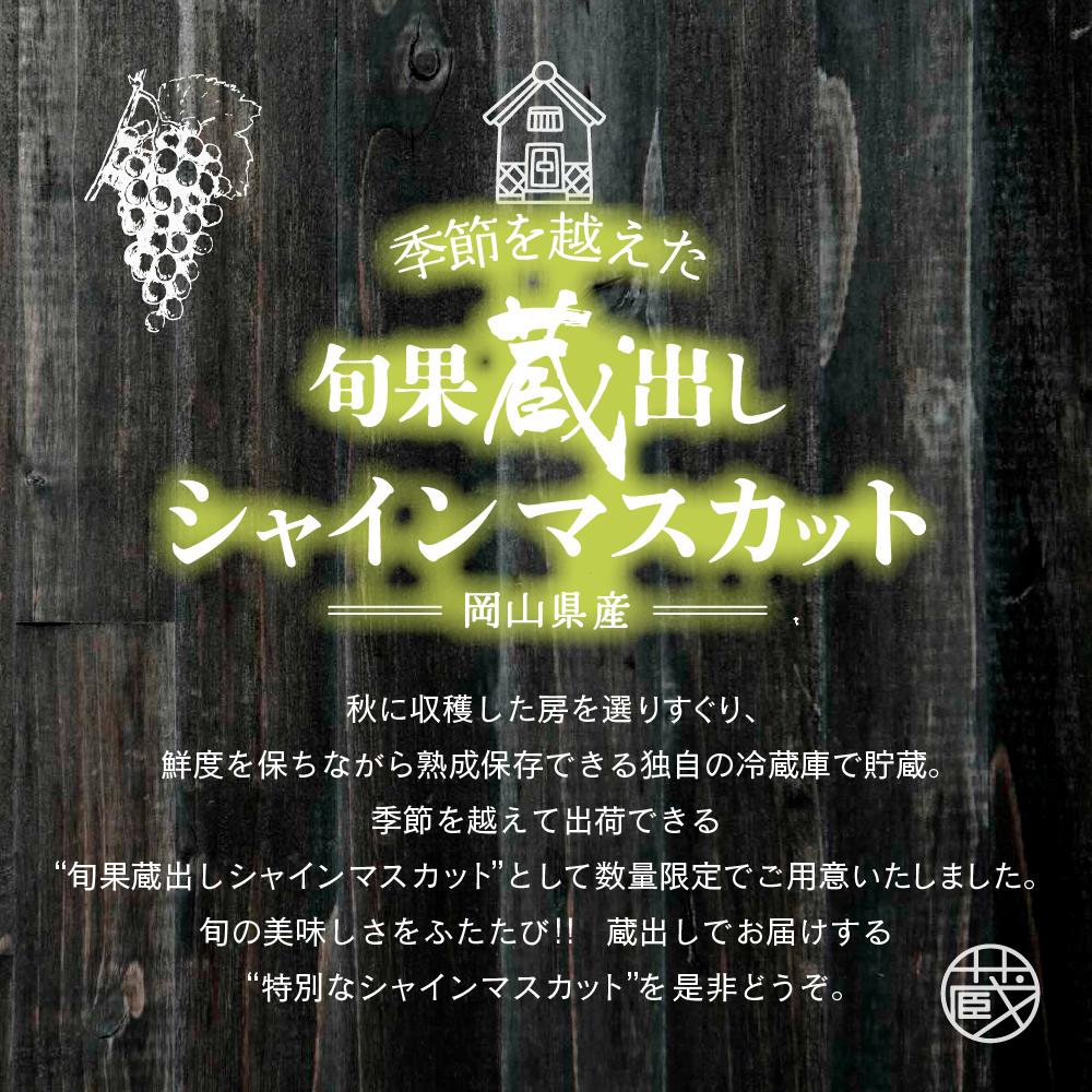 【先行予約　2025年12月上旬〜2026年1月発送】旬果蔵出し　岡山県産シャインマスカット 1.2kg以上（2〜3房）