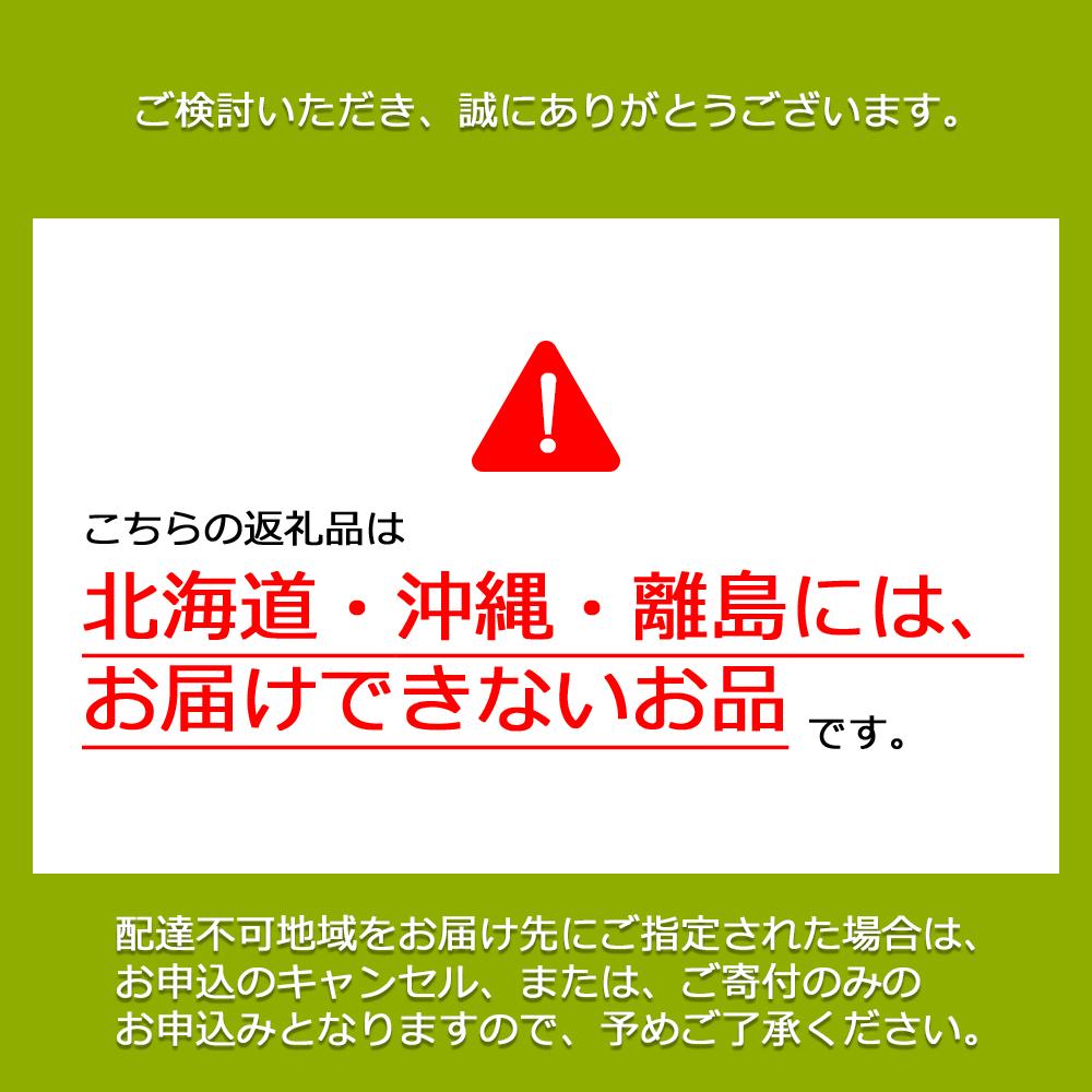 【先行予約　2025年12月上旬〜2026年1月発送】旬果蔵出し　岡山県産シャインマスカット 1.2kg以上（2〜3房）