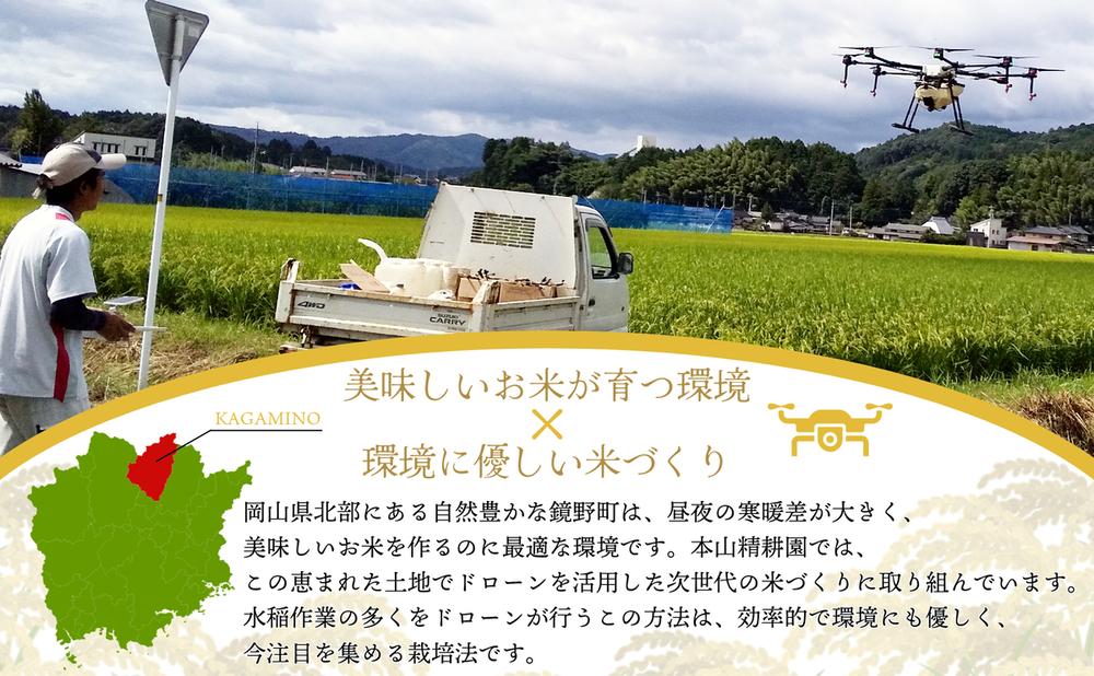 【先行予約】令和7年産 鏡野町産 きぬむすめ 精米10kg（5kg×2袋）【035-a003】