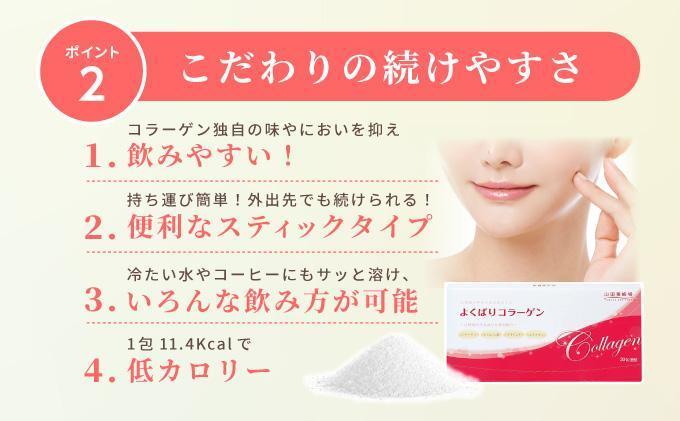 ããã°ãã³ã©ãŒã²ã³30å
å
¥ 3gÃ30å
å
¥Ã6å(28335)ã006-a103ããå±±ç°é€èå Žã