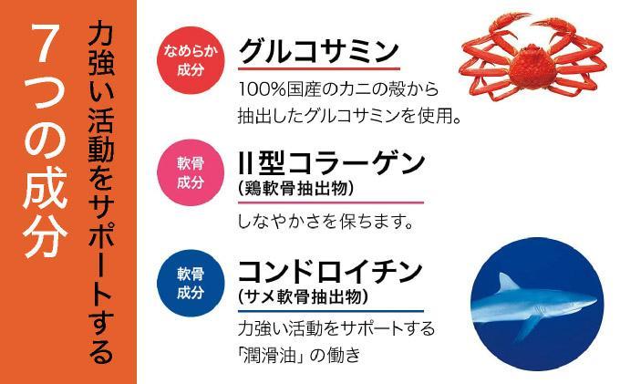 ＜定期便全3回＞グルコサミン＆コンドロイチン（28313）【006-a105】