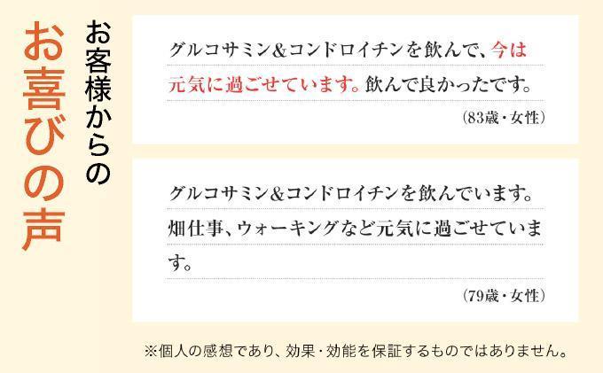 ＜定期便全6回＞グルコサミン＆コンドロイチン（28313）【006-a106】