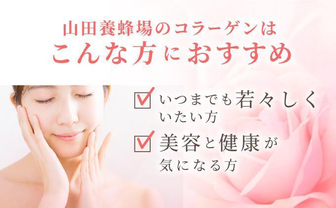 ＜定期便全6回＞コラーゲン 1袋(300粒)×6回 (28066)【006-a100】