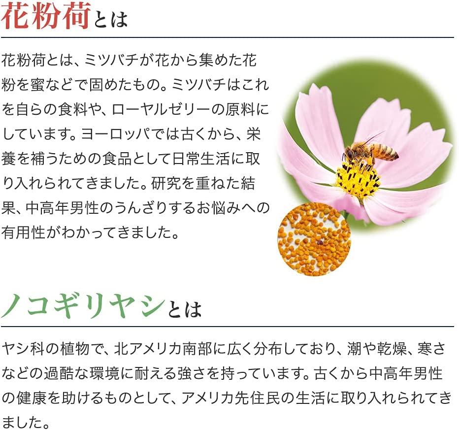 Ｚｎ立Ｂｅｅ（33353）【006-a094】