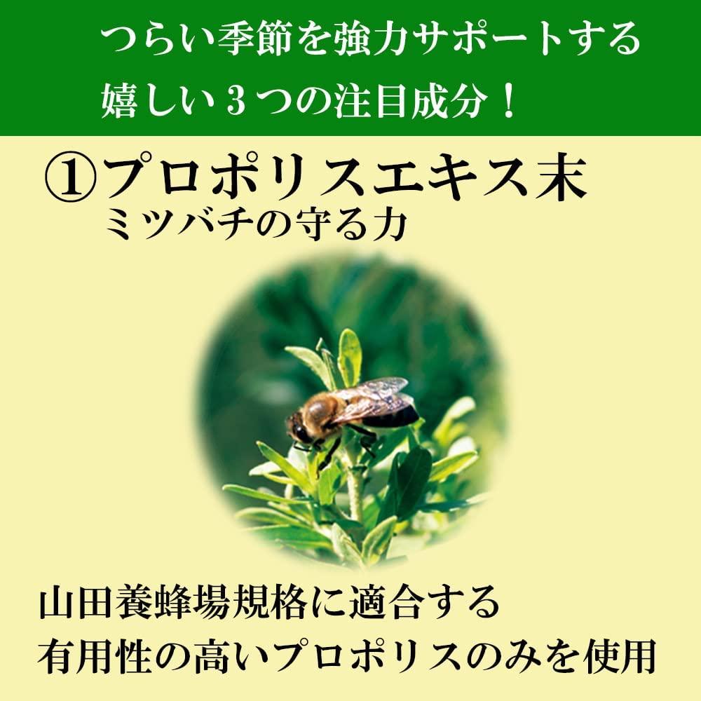 闃ア邊峨こ繧「シ・シクシ11177シ峨006-a091縲