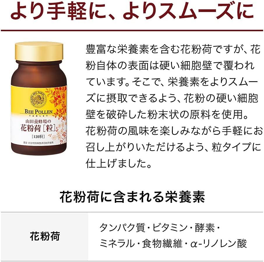 闃ア邊芽差シサ邊抵シスシ11405シ峨006-a090縲