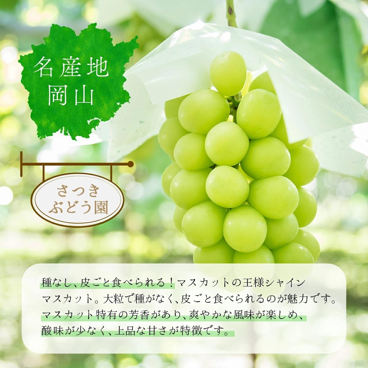 ＜先行予約＞【ギフト】岡山県産 冬のシャインマスカット【2026年12月発送】 1房(600g以上) [025-a032]