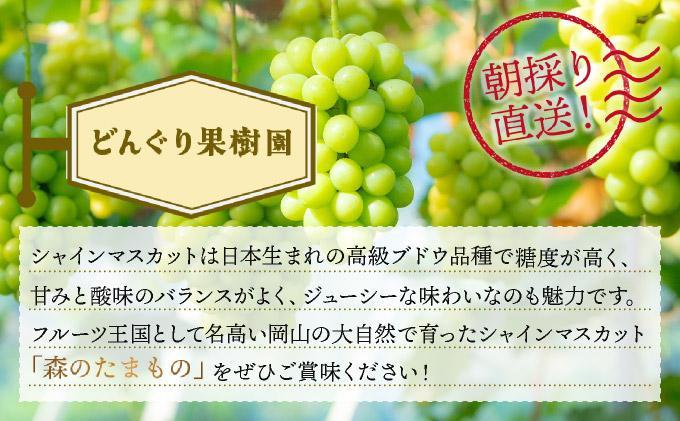 2025年発送分 先行予約＜〜森のたまもの〜＞朝採り直送！シャインマスカット 1房700g前後