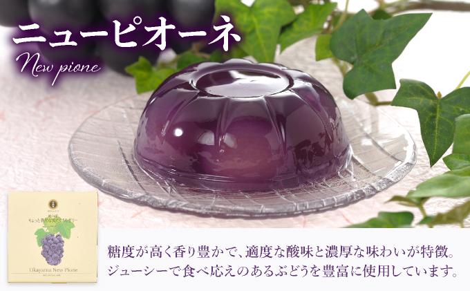 ちょっと贅沢な実だくさんゼリー6個入【021-a008】