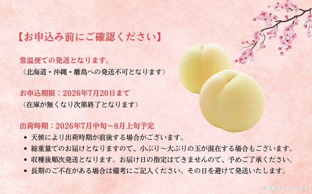 ã2026幎å
è¡äºçŽãæé·ææš¹å岡山çç£ æž
æ°Žçœæ¡ çŽ2kgïŒ6çïœ9çïŒ