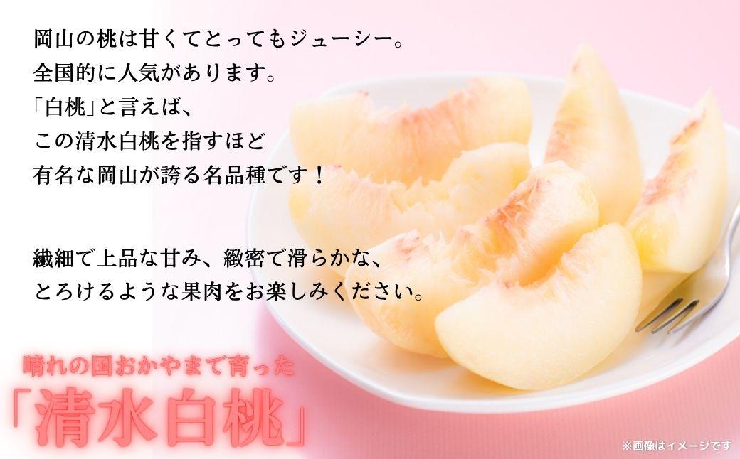 ã2026幎å
è¡äºçŽãæé·ææš¹å岡山çç£ æž
æ°Žçœæ¡ çŽ2kgïŒ6çïœ9çïŒ