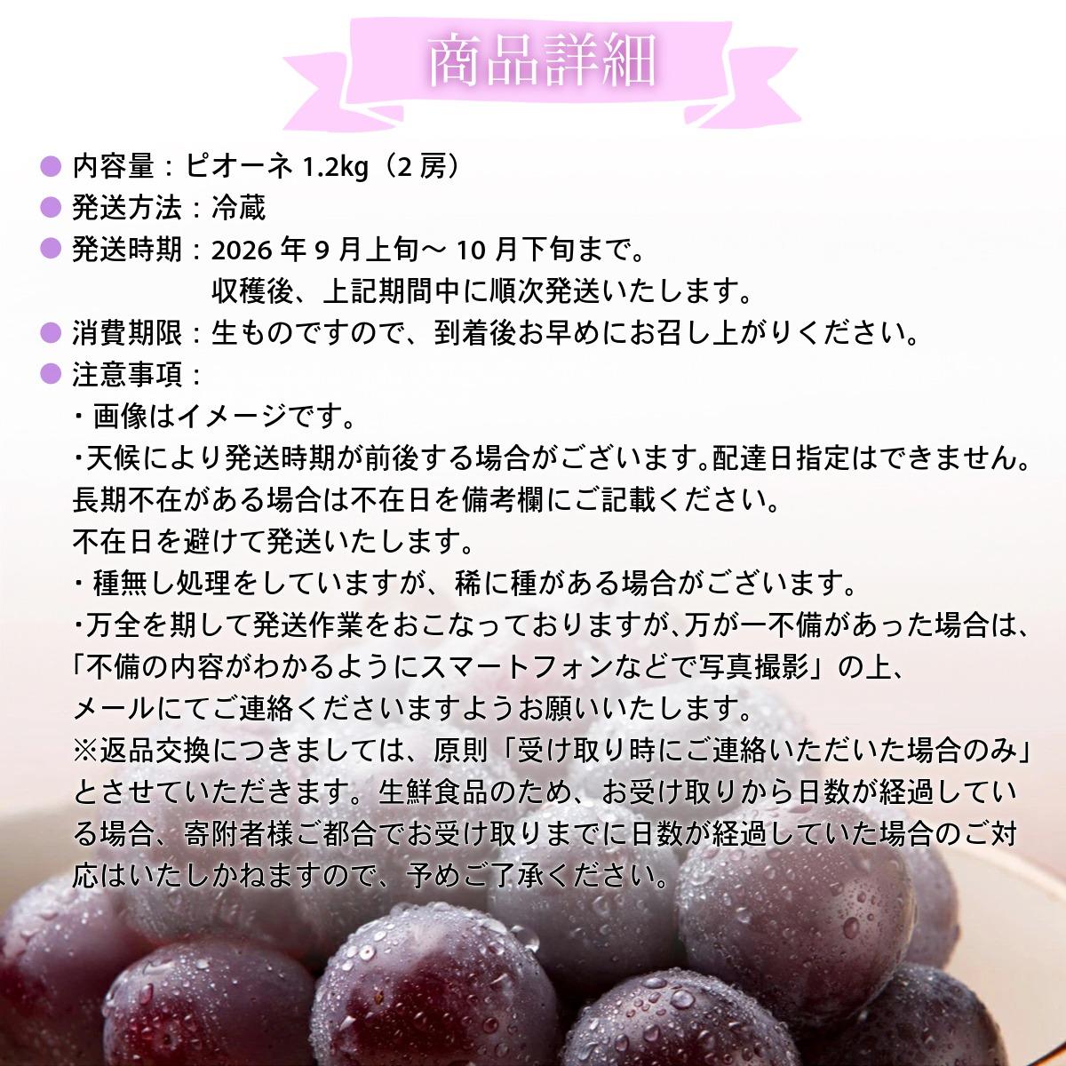 【2026年先行予約】［大原観光果樹園］ピオーネ 2房（約1.2kg）【026-a012】