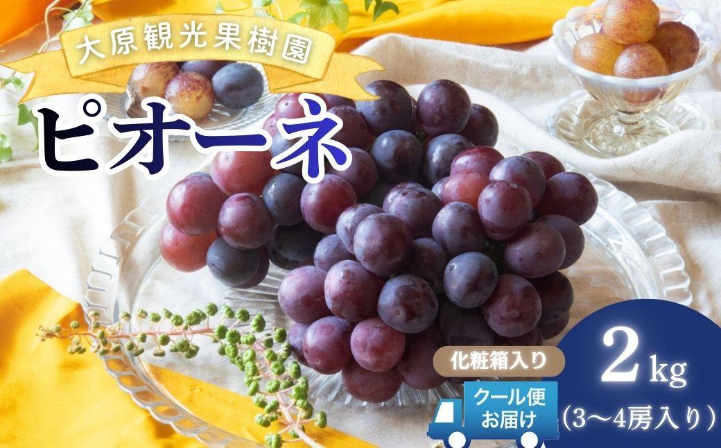 ã2026幎å
è¡äºçŽã倧å芳å
ææš¹åããªãŒã 3ïœ4æ¿ïŒçŽ2kgïŒåç²§ç®±å
¥ãã026-a013ã