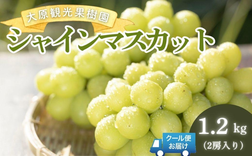 【2026年先行予約】［大原観光果樹園］シャインマスカット 2房（約1.2kg）【026-a014】
