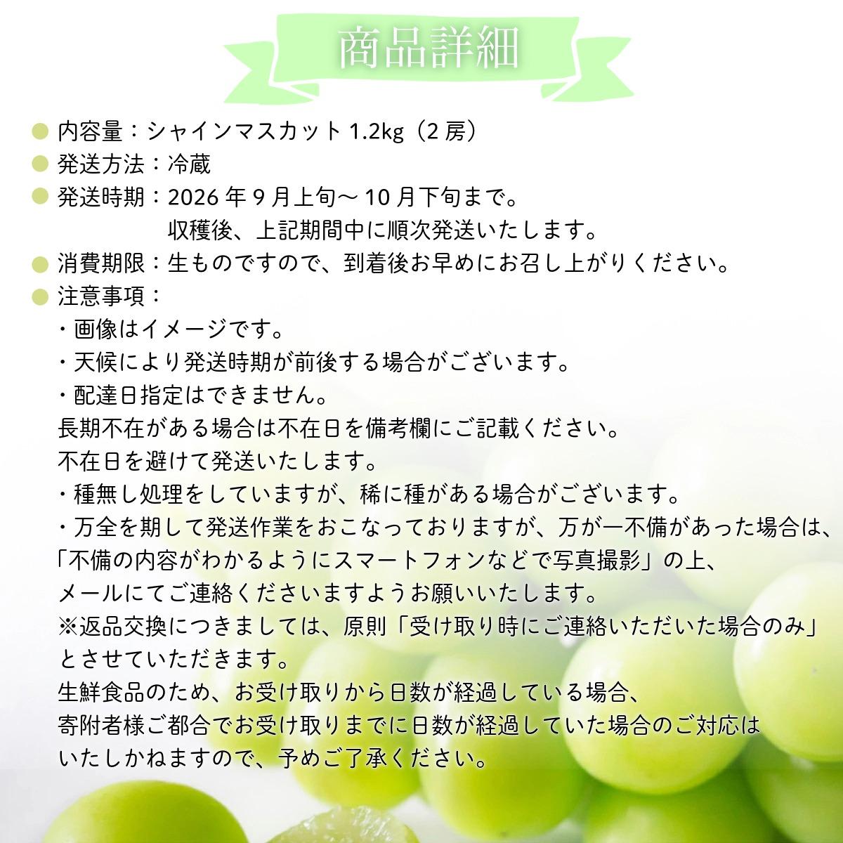 【2026年先行予約】［大原観光果樹園］シャインマスカット 2房（約1.2kg）【026-a014】