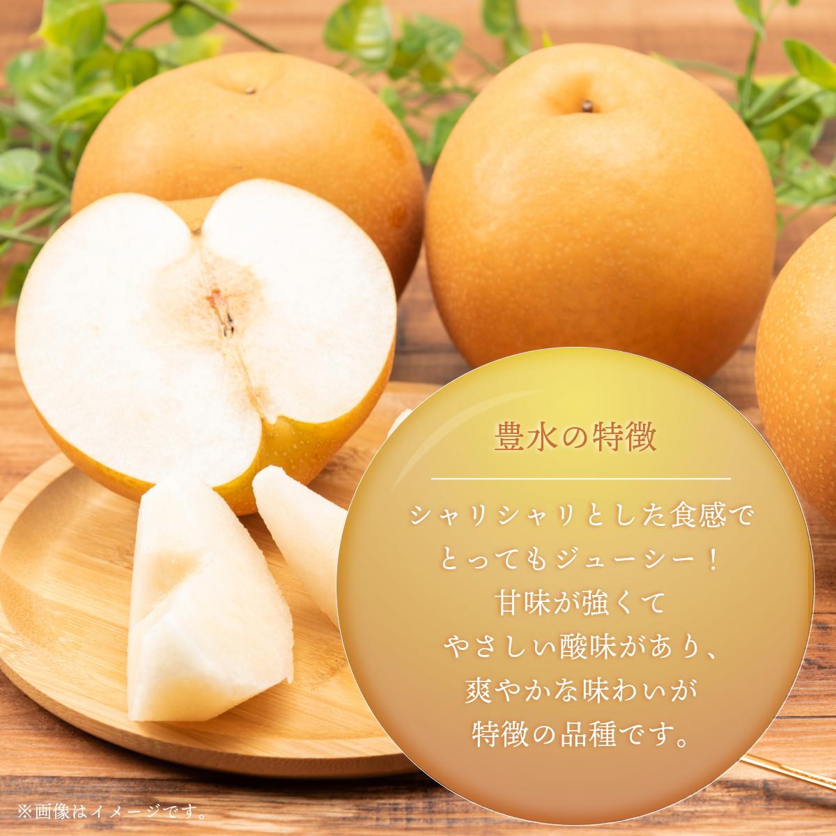 ã2026幎å
è¡äºçŽã倧å芳å
ææš¹å岡山çç£ æ¬ã®æ¢šïŒè±æ°ŽïŒïŒçŽ4kg 10ïœ12çïŒã026-a022ã