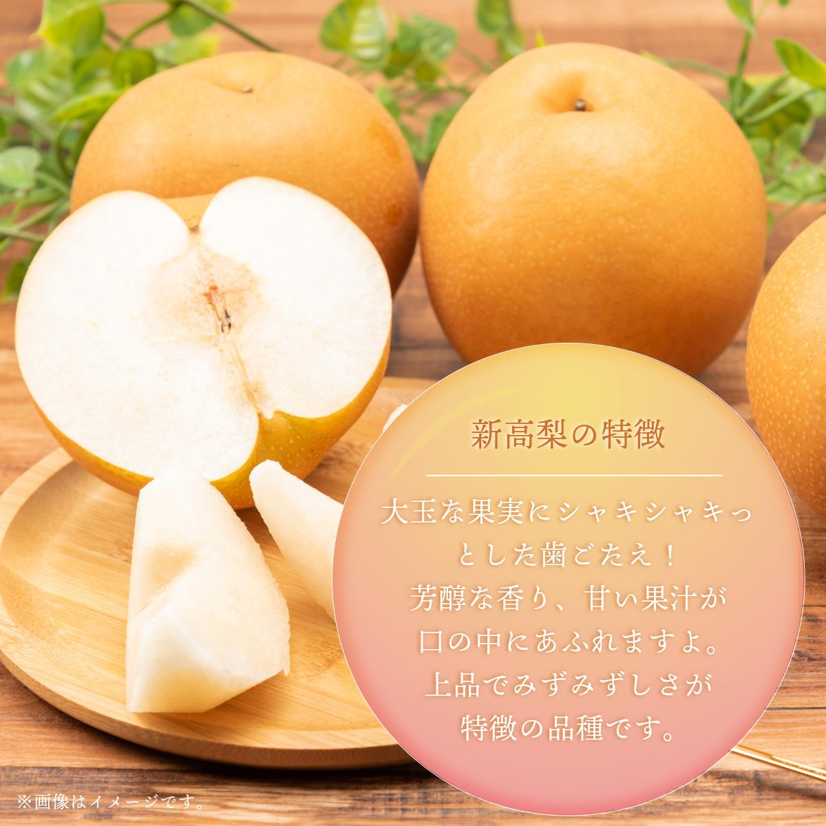 ã2026幎å
è¡äºçŽã倧å芳å
ææš¹å岡山çç£ æ¬ã®æ¢šïŒæ°é«ïŒïŒçŽ4kg ïŒïœïŒçïŒã026-a023ã