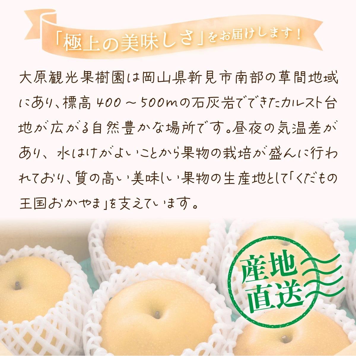 ã2026幎å
è¡äºçŽã倧å芳å
ææš¹å岡山çç£ æ¬ã®æ¢šïŒæ°é«ïŒïŒçŽ4kg ïŒïœïŒçïŒã026-a023ã