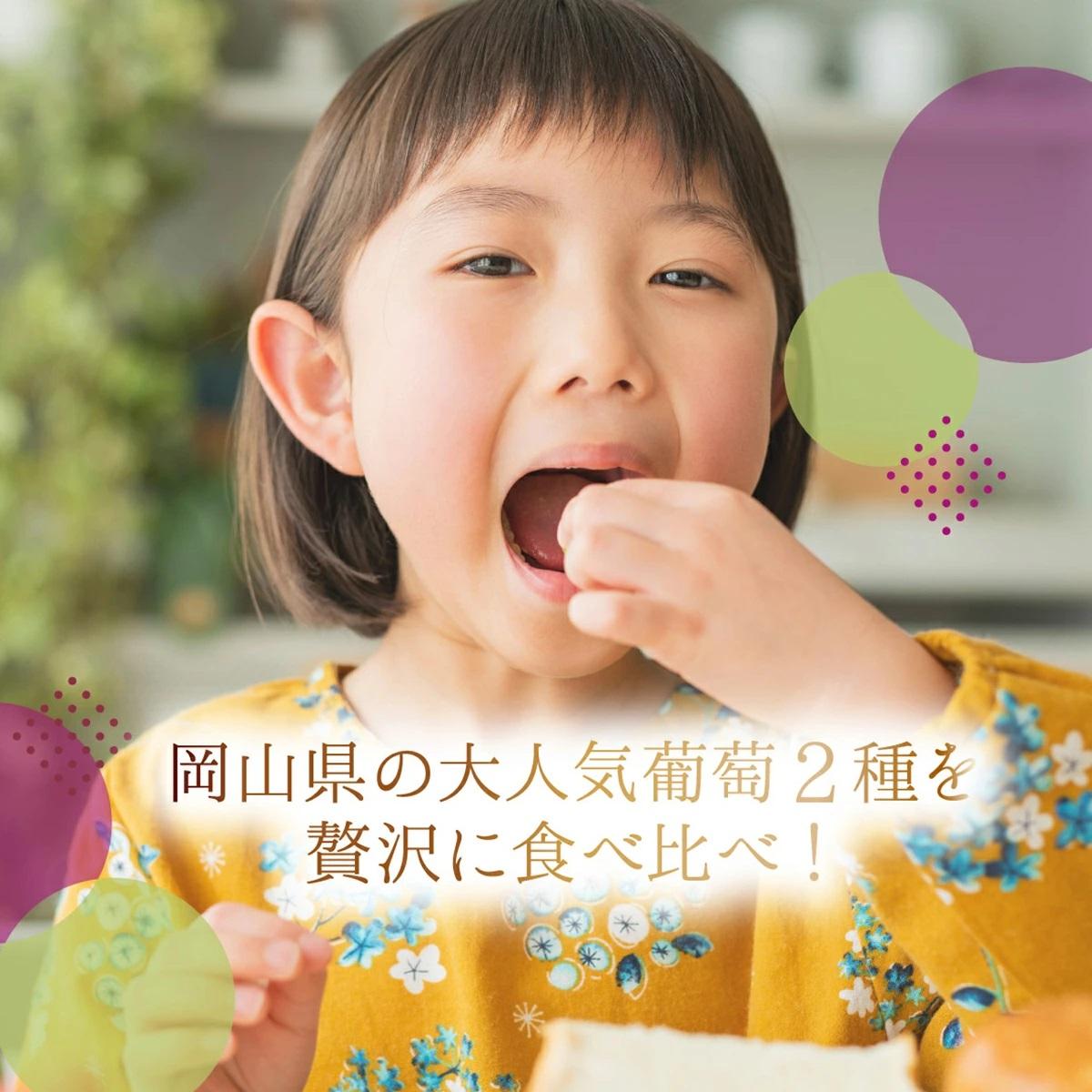 【2026年先行予約】［大原観光果樹園］ピオーネ1房とシャインマスカット1房（計2房 約1.2kg）【026-a017】