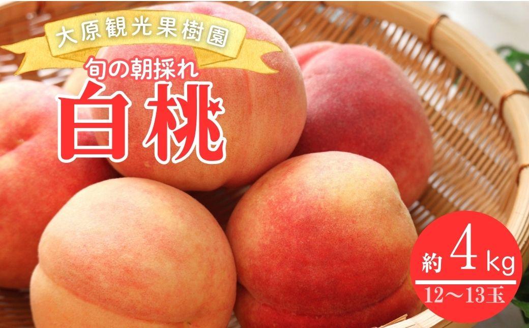 ã2026幎å
è¡äºçŽã倧å芳å
ææš¹å岡山çç£ æ¬ã®ææ¡ãçœæ¡ 1ç®±ïŒçŽ4kg 12ïœ13çïŒã026-a021ã