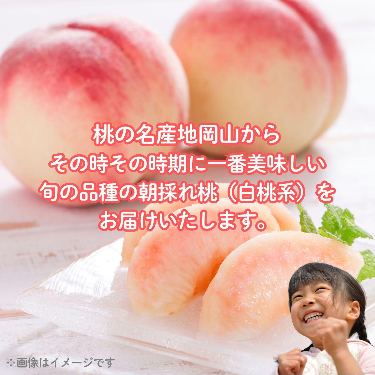 ã2026幎å
è¡äºçŽã倧å芳å
ææš¹å岡山çç£ æ¬ã®ææ¡ãçœæ¡ 1ç®±ïŒçŽ4kg 12ïœ13çïŒã026-a021ã