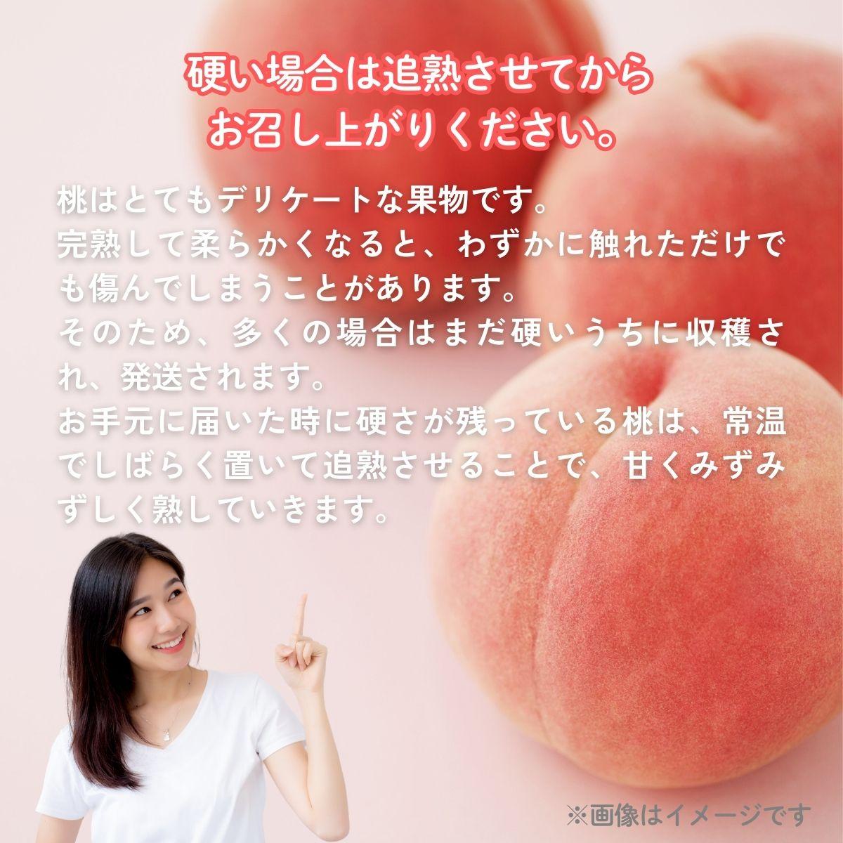 ã2026幎å
è¡äºçŽã倧å芳å
ææš¹å岡山çç£ æ¬ã®ææ¡ãçœæ¡ 1ç®±ïŒçŽ4kg 12ïœ13çïŒã026-a021ã