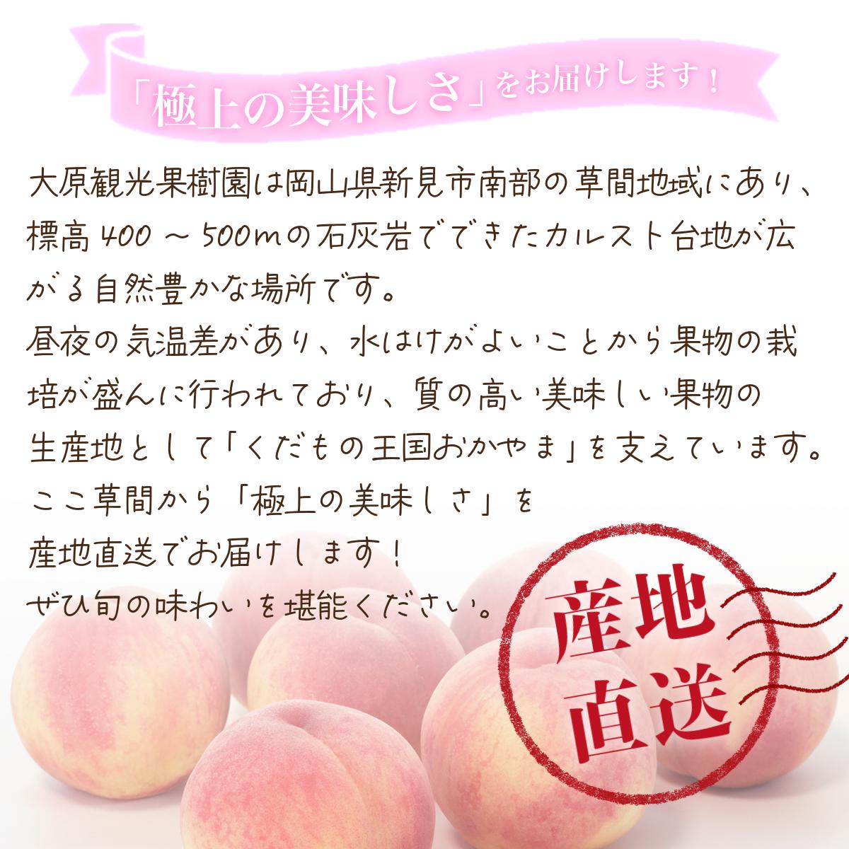 ã2026幎å
è¡äºçŽã倧å芳å
ææš¹å岡山çç£ æ¬ã®ææ¡ãçœæ¡ 1ç®±ïŒçŽ4kg 12ïœ13çïŒã026-a021ã