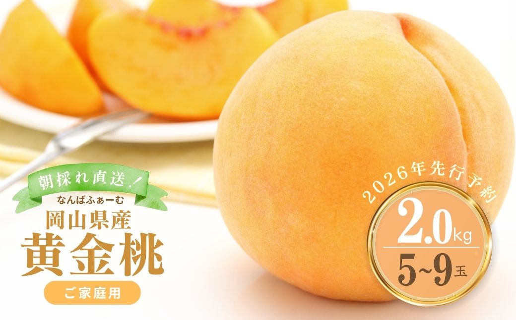 【2026年先行予約】［なんばふぁーむ］岡山県産 黄金桃 2.0kg（5〜9玉）［ご家庭用］