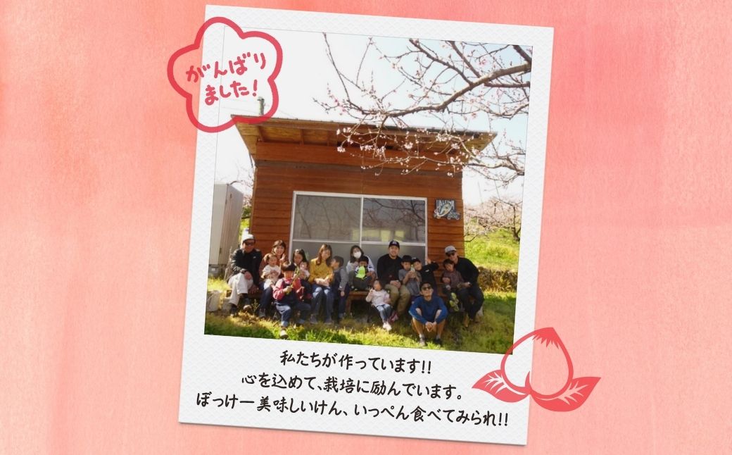 ã2026幎å
è¡äºçŽããªãã°ãµããŒã岡山çç£ é»éæ¡ 4.0kgïŒ11ã14çïŒïŒ»ãå®¶åºçšïŒœ