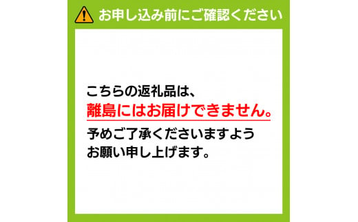 ＜オンライン決済限定＞2024年10～11月発送お土産マスカットビオレ2kg箱