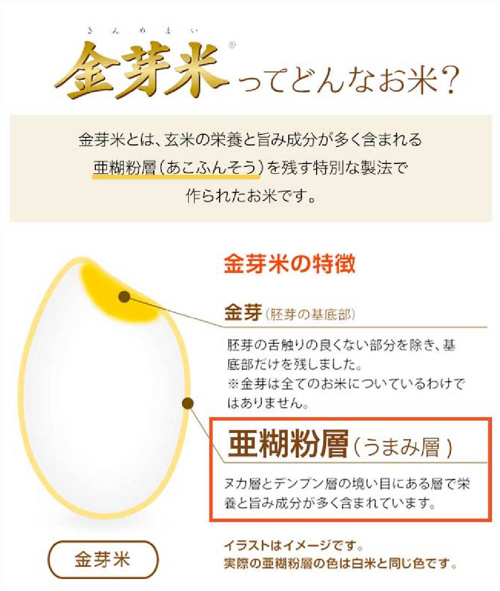 子育て応援米【令和７年産】那岐山麓菜の花米 金芽米 無洗米 きぬむすめ10kg （5kg×2袋）  10キロ お米 米 国産 岡山県 奈義町