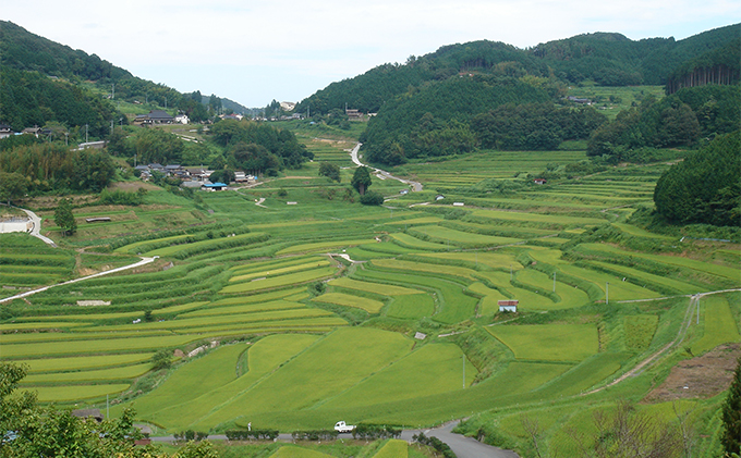 レンジ アップ ごはん 岡山県美咲町大垪和西棚田米（きぬむすめ）20パックセット 米 パック ごはん 保存 レトルト