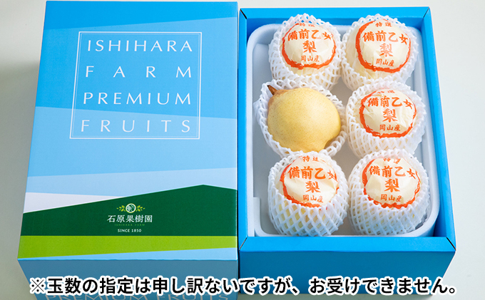 梨 2025年 先行予約 備前乙女梨（鴨梨） 5～6玉 合計約3kg ナシ なし 岡山県産 国産 フルーツ 果物 ギフト 石原果樹園