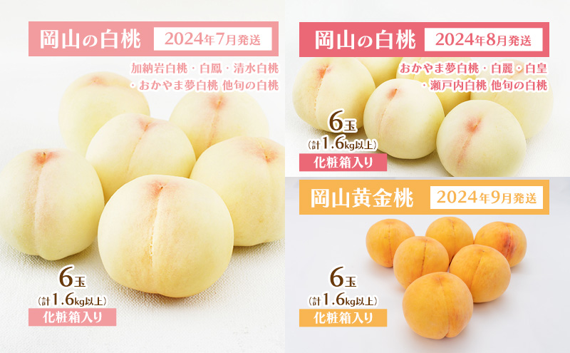 フルーツ 定期便 2024年 先行予約 岡山 の 桃 食べ比べ 定期便 3回コース もも モモ 岡山県産 国産 フルーツ 果物 セット ギフト
